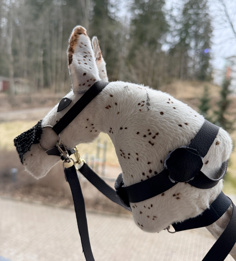 Minikeppihevonen - Pilke